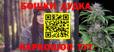 крисы Кингисепп