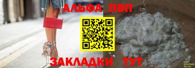 крисы Кингисепп
